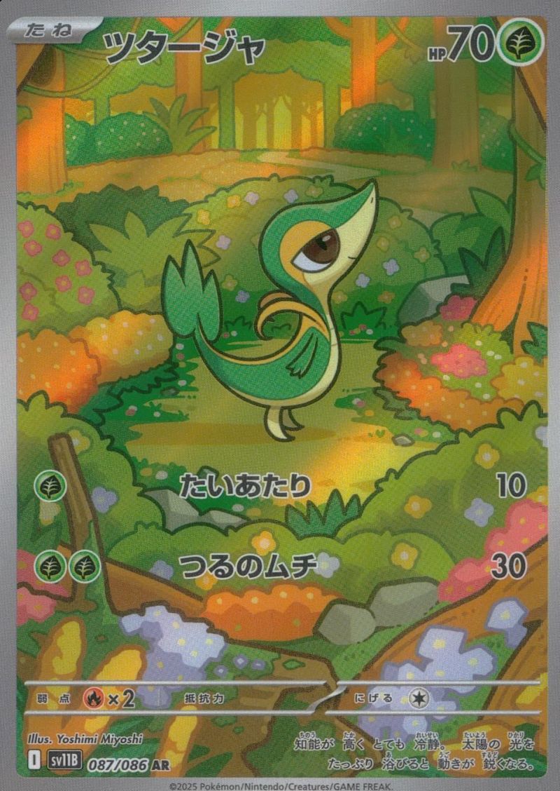 087/086/SV11B/AR ツタージャ シングル