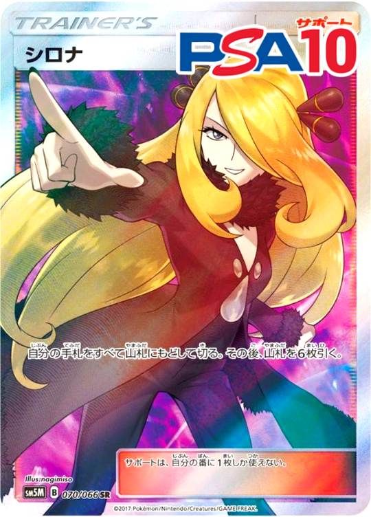 070/066/SMSM/SR シロナ PSA10