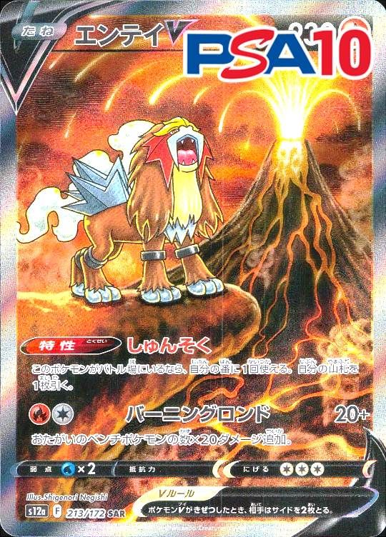 213/172/S12A/SAR エンテイV PSA10