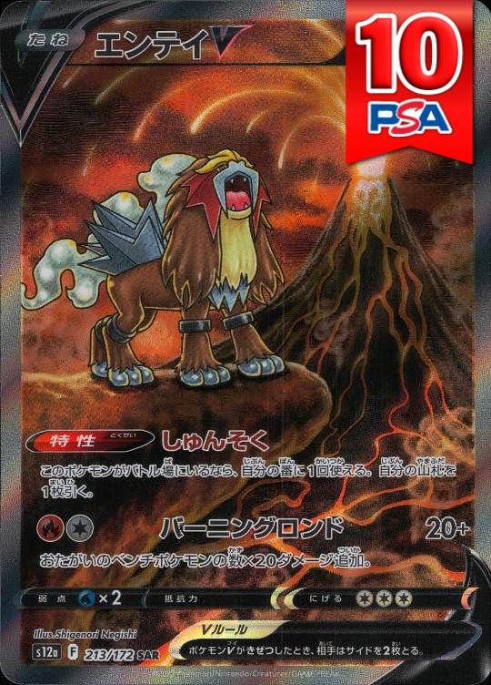 213/172/S12A/SAR エンテイV PSA10