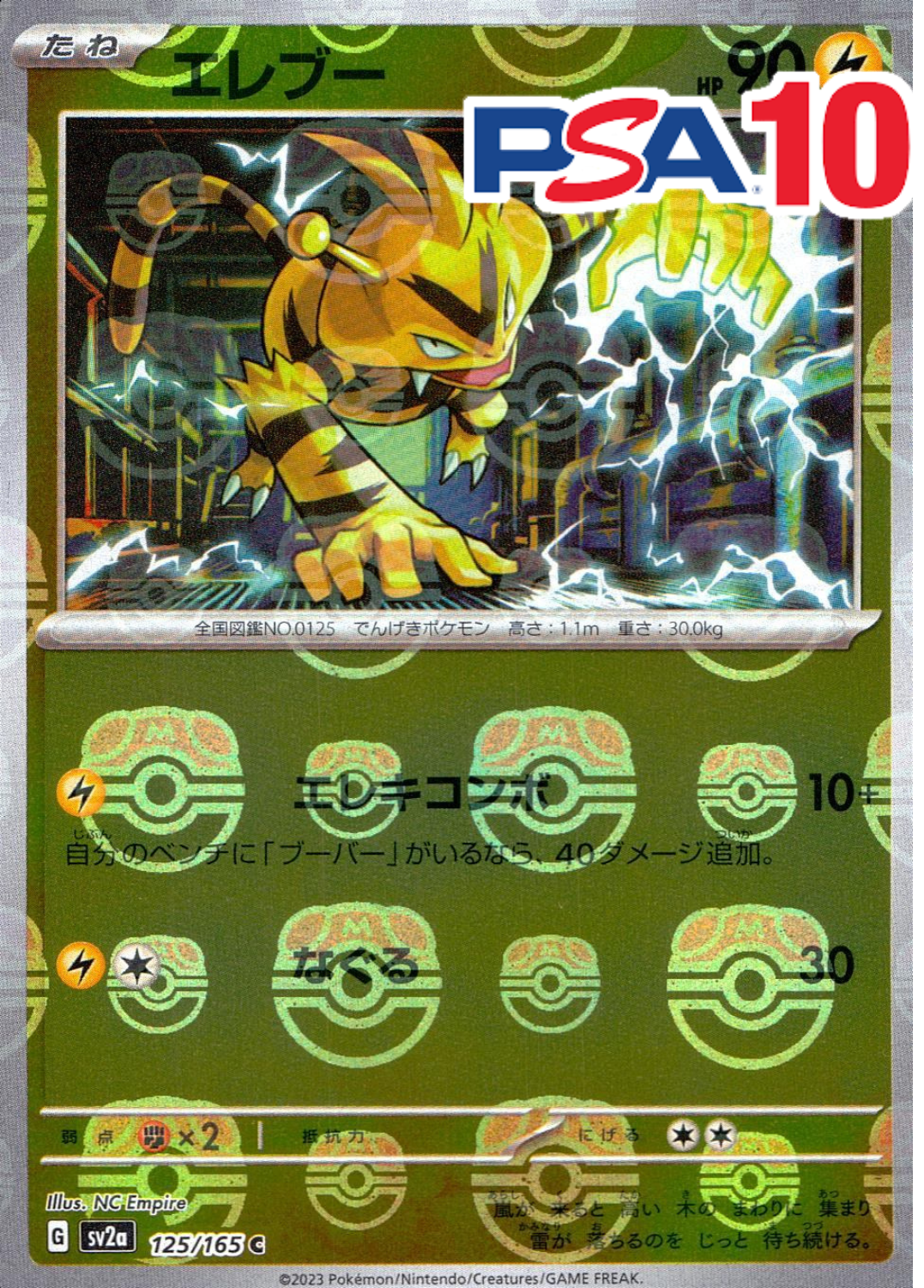 エレブー(マスターボール) PSA10