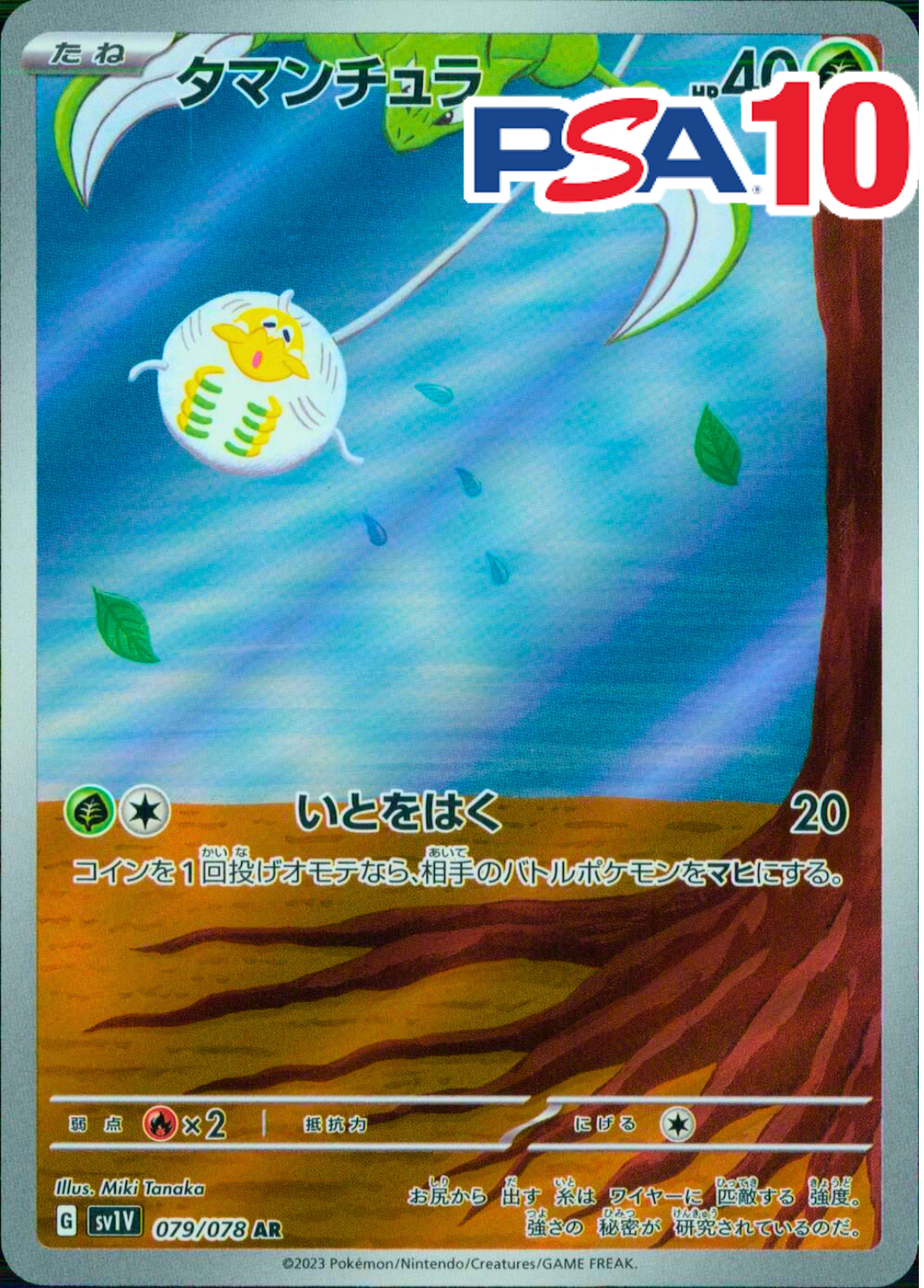 タマンチュラ PSA10