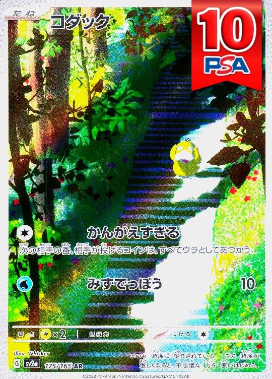 175/165/SV2A/AR コダック PSA10