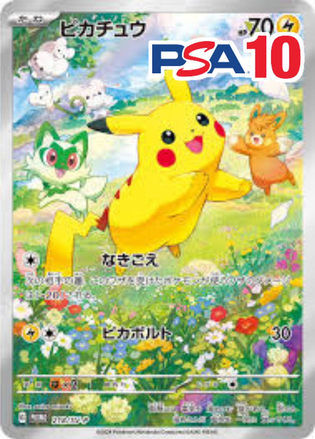ピカチュウ PSA10