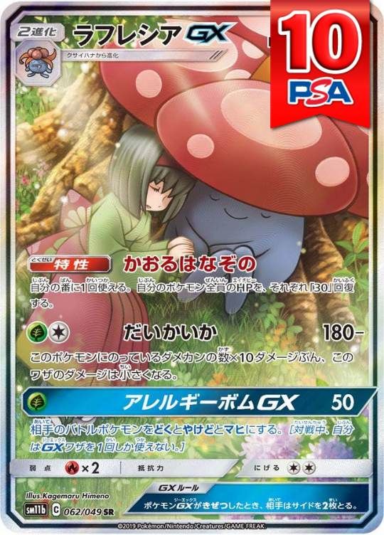 062/049/SM11B/SR ラフレシアGX PSA10