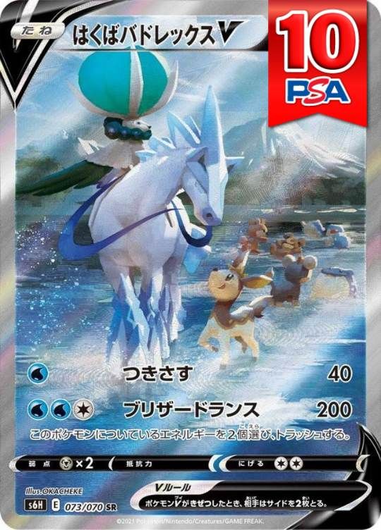 073/070/S6H/SR/SA はくばバドレックスV PSA10