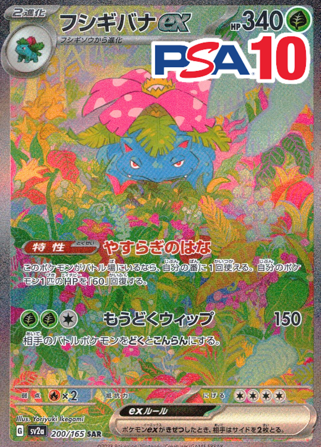 フシギバナex PSA10