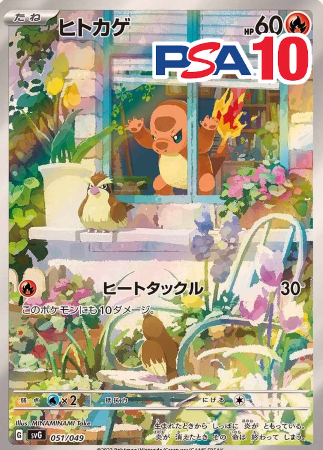 ヒトカゲ PSA10