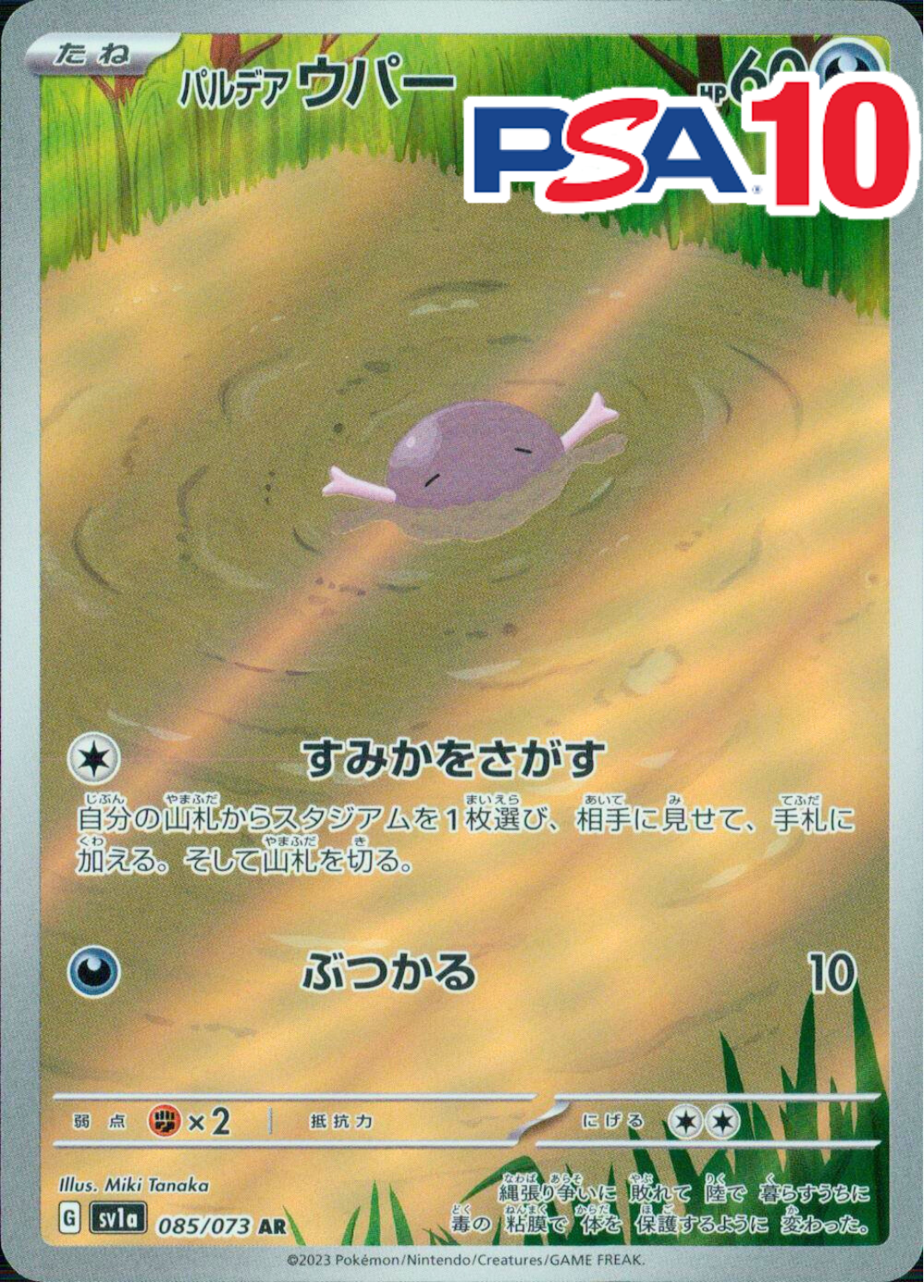 パルデアウパー PSA10