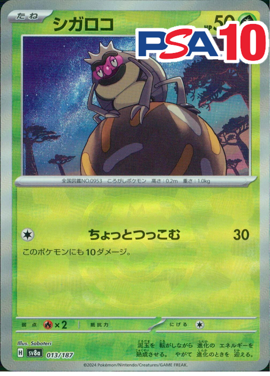 シガロコ PSA10