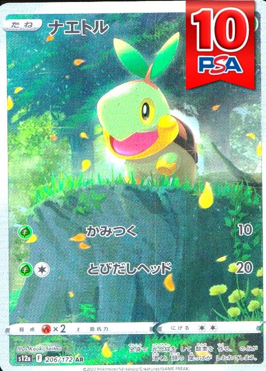 206/172/S12A/AR ナエトル PSA10