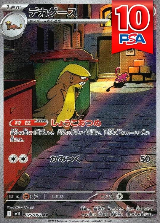 075/063/M1L/AR デカグース PSA10
