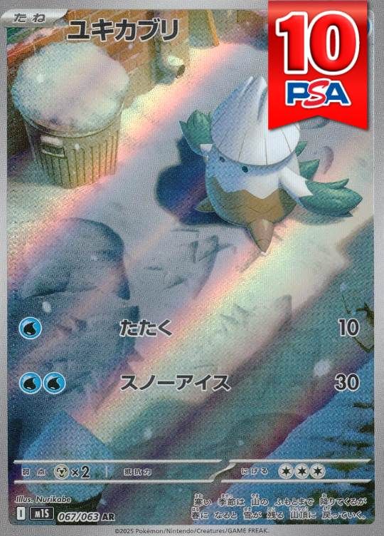 067/063/M1S/AR ユキカブリ PSA10