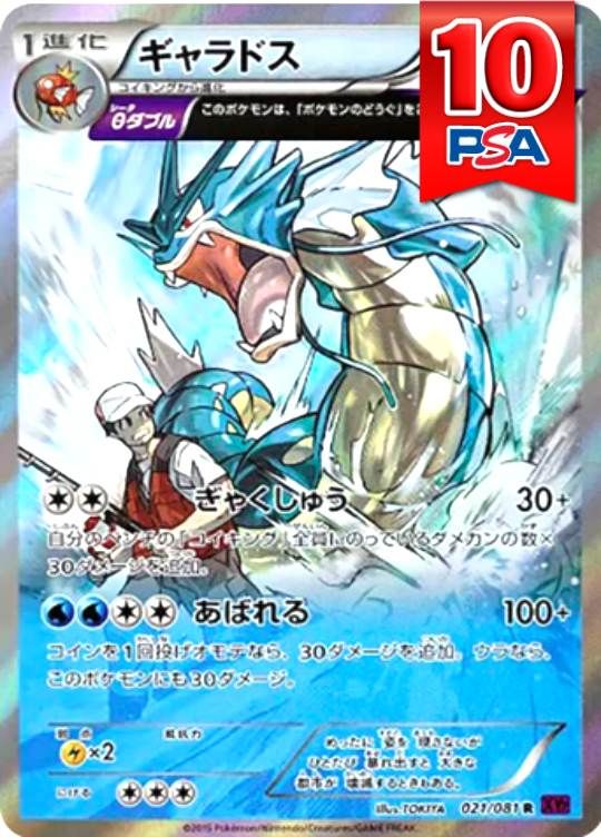 021/081/XY7/R ギャラドス PSA10