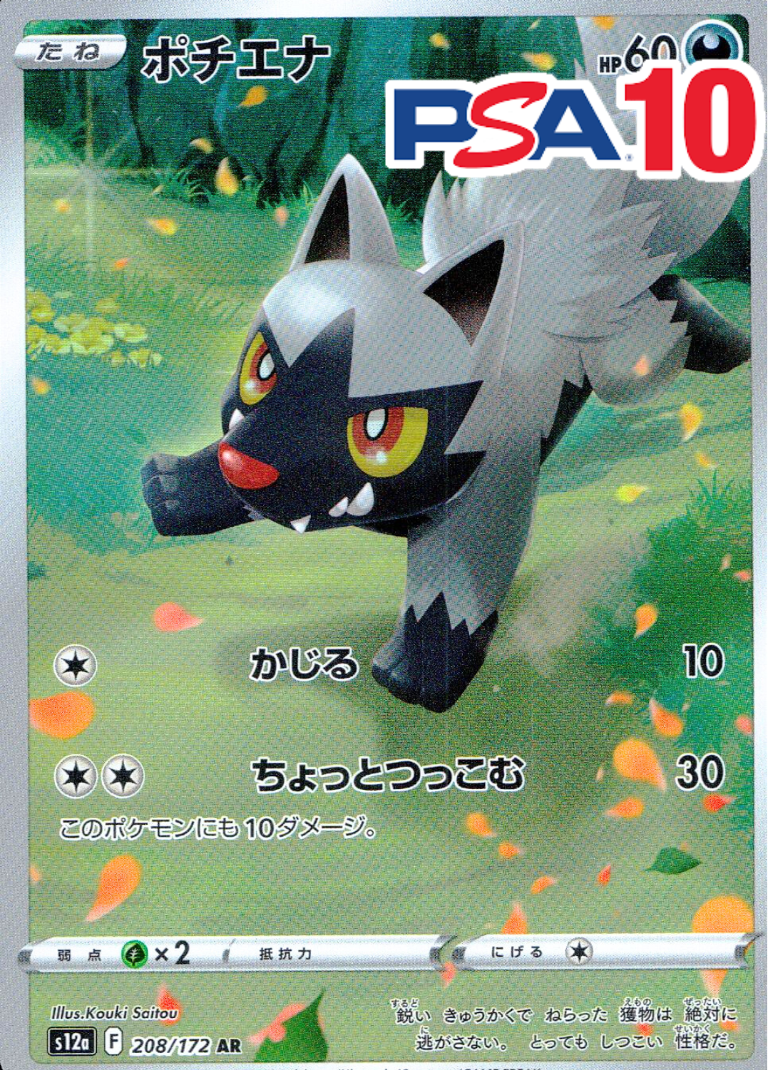 ポチエナ PSA10