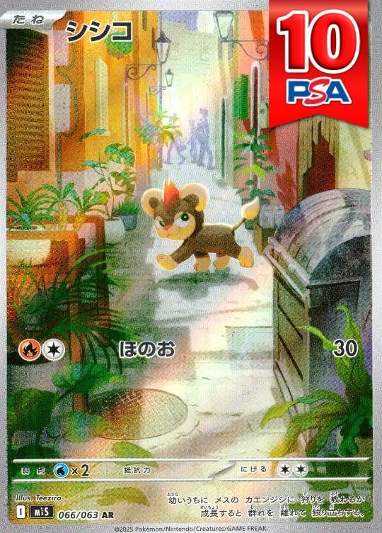 066/063/M1S/AR シシコ PSA10