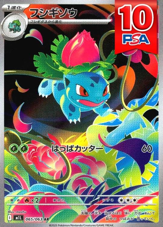 065/063/M1L/AR/フシギソウ PSA10