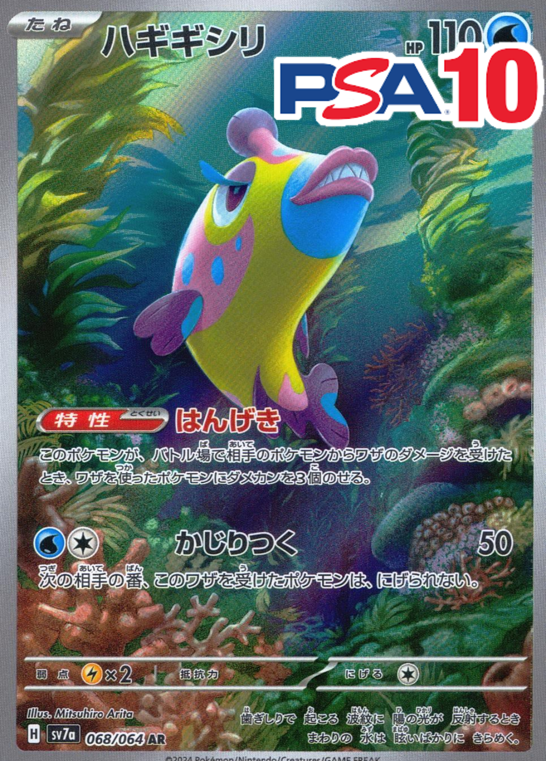 ハギギシリ PSA10