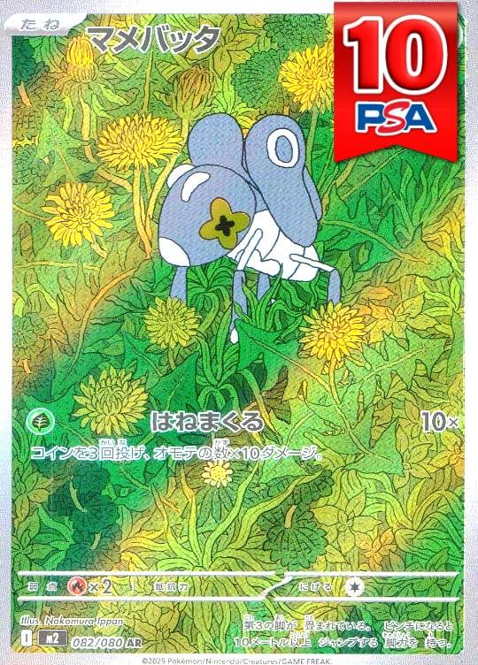 082/080/M2/AR マメバッタ PSA10
