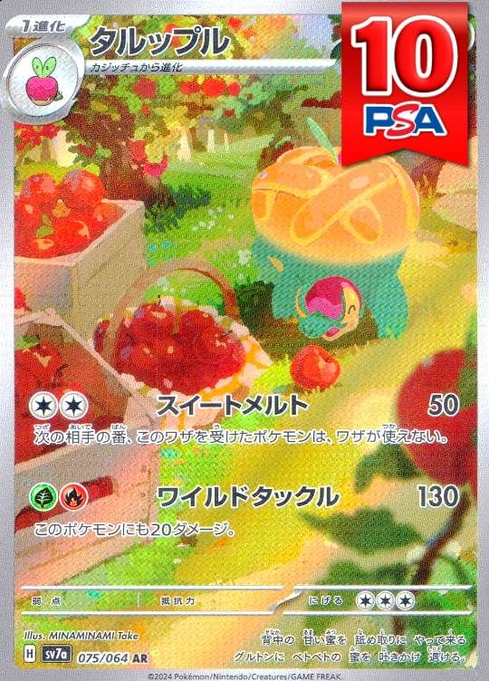 075/064/SV7A/AR タルップル PSA10