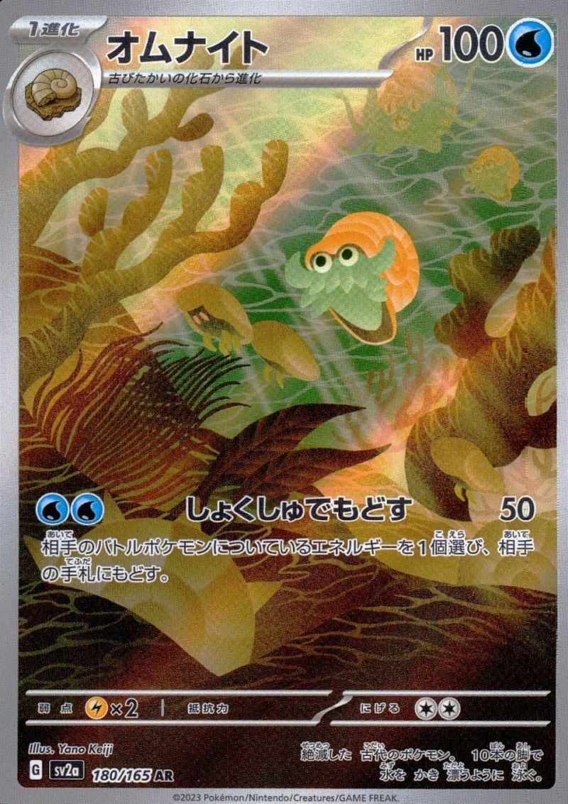 【傷アリ】 180/165/SV2A/AR オムナイト シングル
