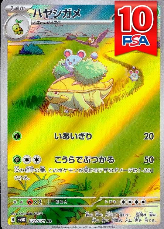 072/071/SV5K/AR ハヤシガメ  PSA10