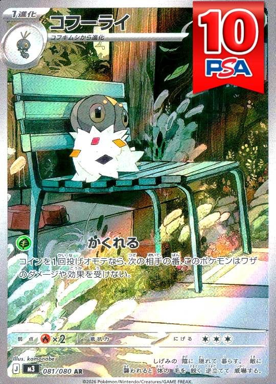081/080/M3/AR コフーライ PSA10