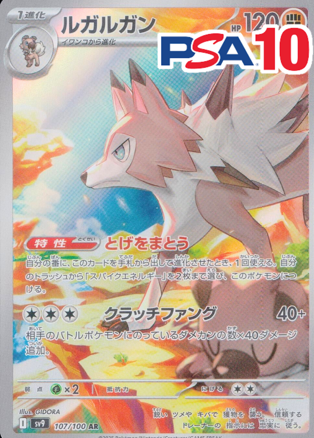 ルガルガン PSA10