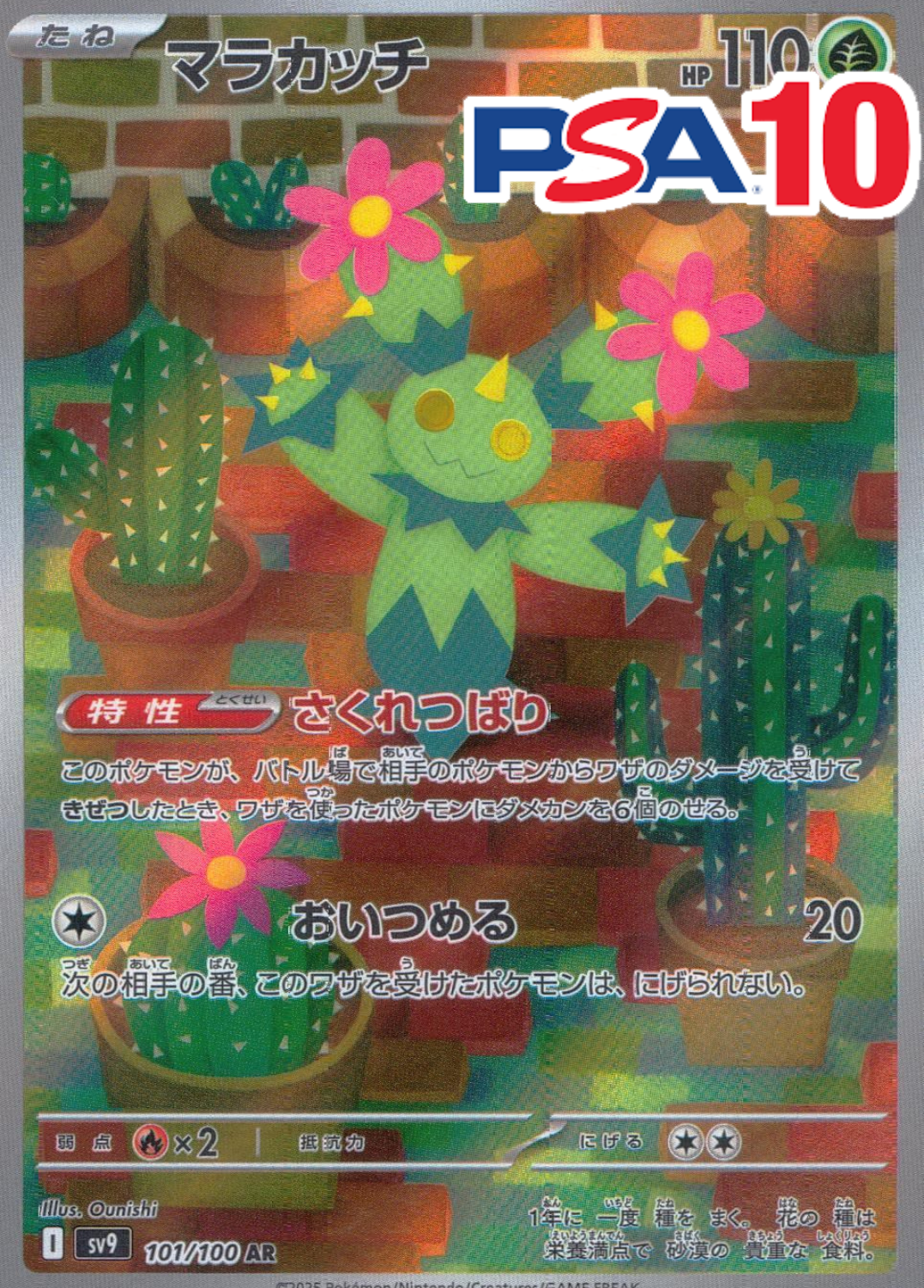 マラカッチ 101/100 PSA10