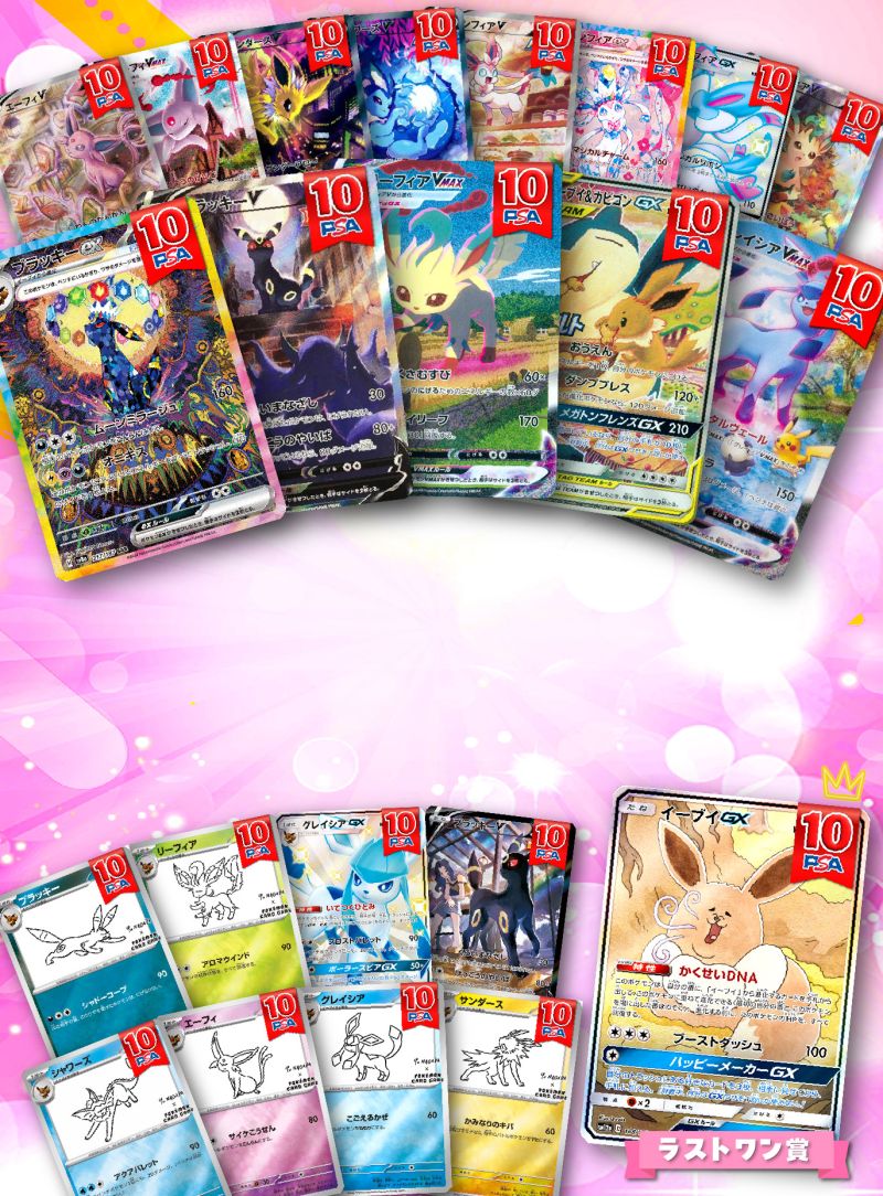２分の１ ブイズPSA10 part3