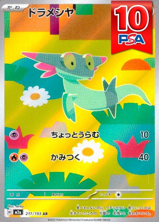 211/193/M2a/AR ドラメシヤ PSA10