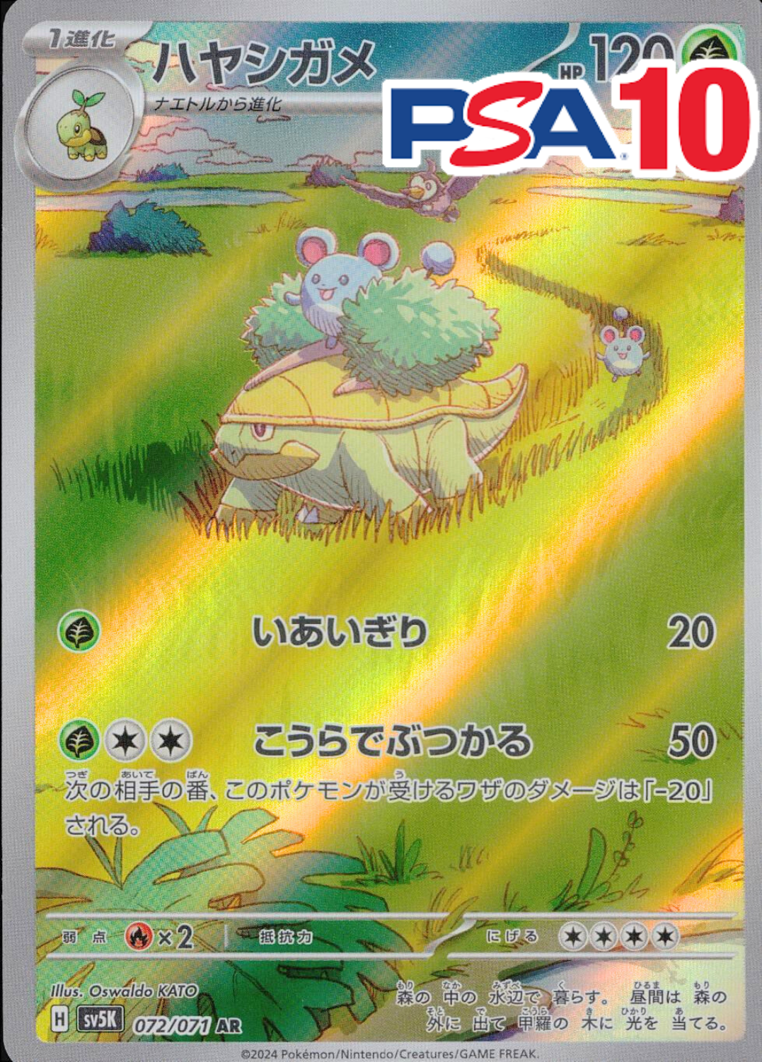 ハヤシガメ PSA10
