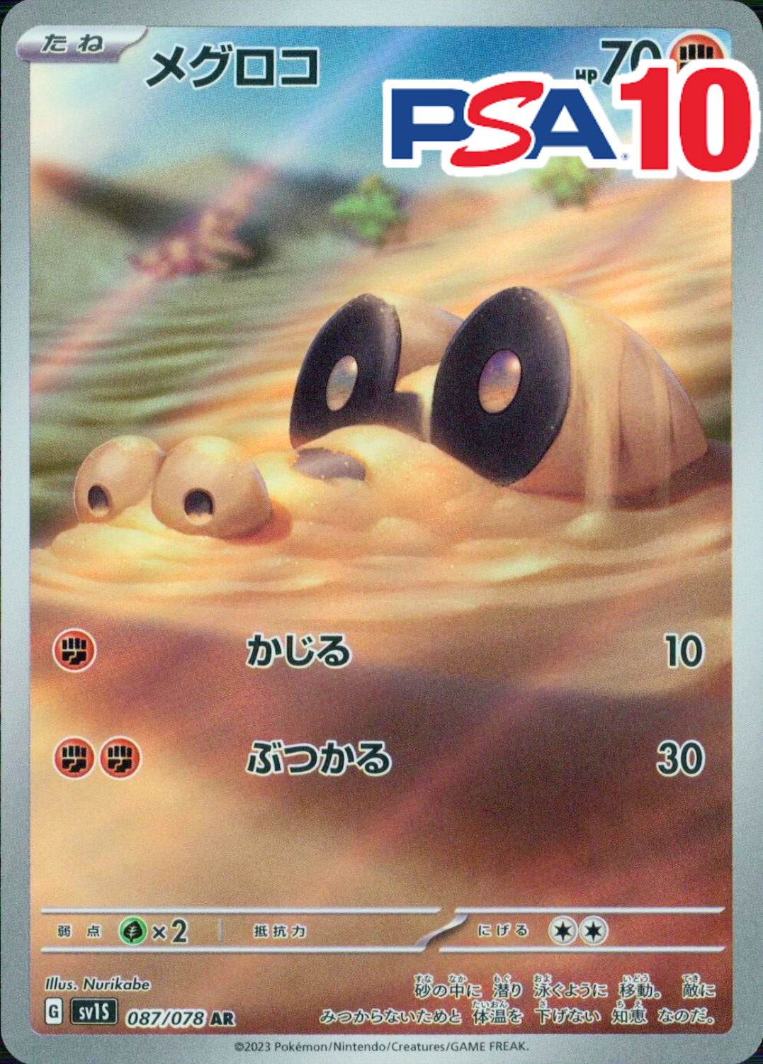 メグロコ PSA10