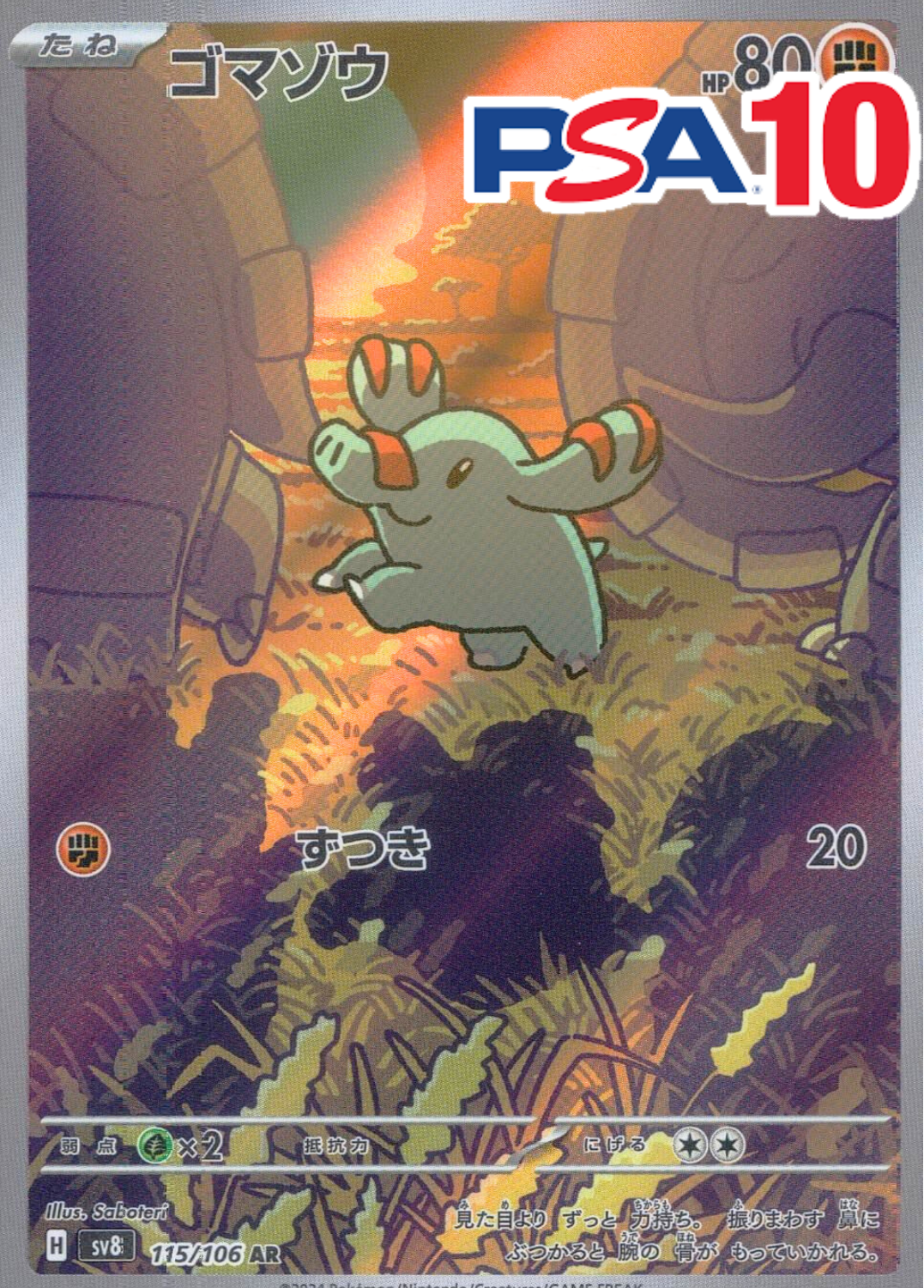 ゴマゾウ PSA10