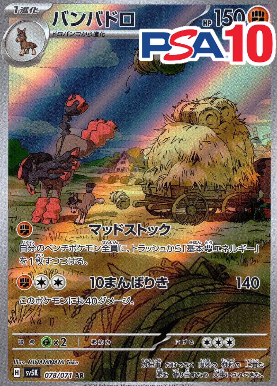 バンバドロ PSA10