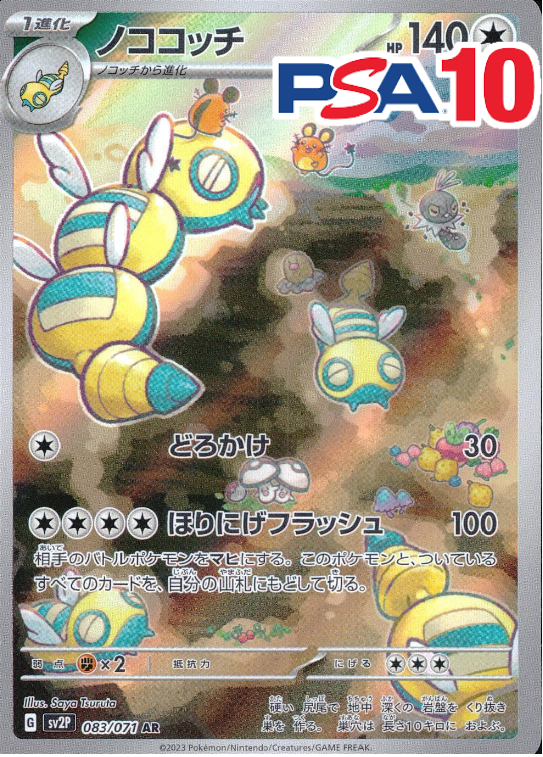 ノココッチ PSA10