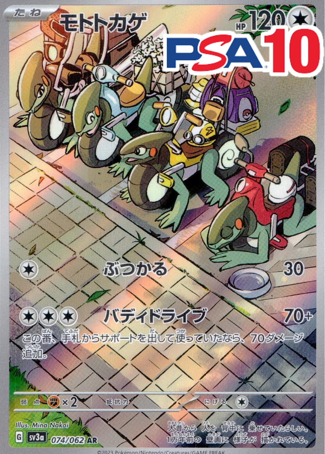 モトトカゲ PSA10