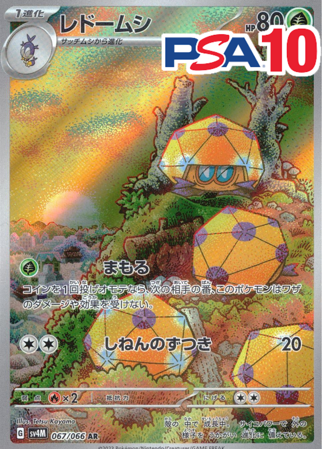 レドームシ PSA10