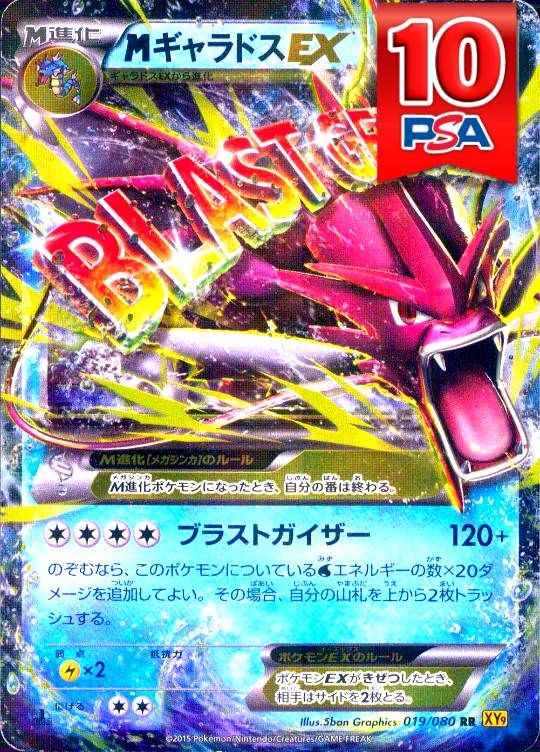 019/080/XY9/RR/1ED MギャラドスEX PSA10