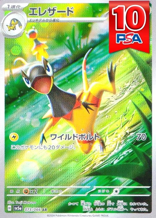 073/066/SV5a/AR エレザード PSA10