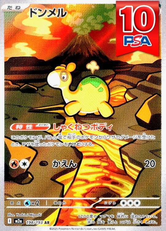198/193/M2a/AR ドンメル PSA10