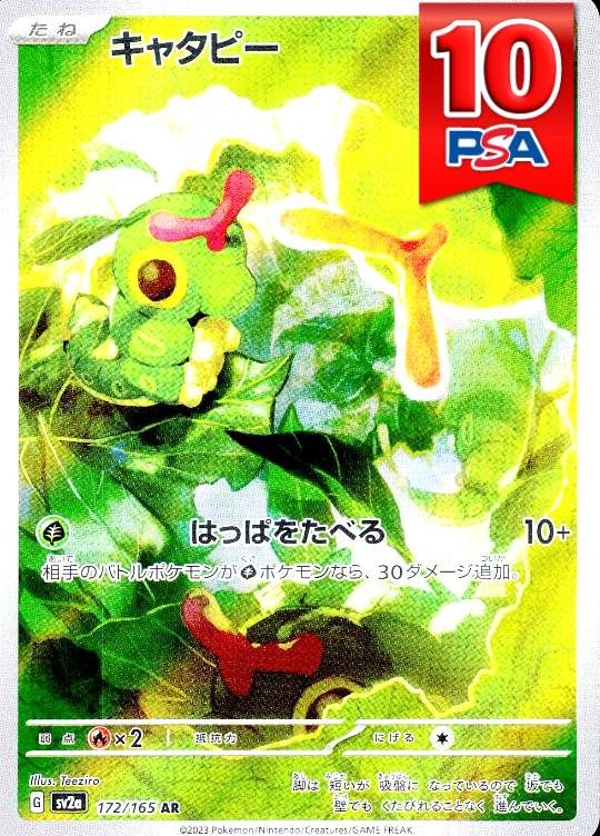 172/165/SV2A/AR キャタピー PSA10