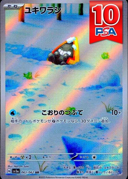 063/062/SV3A/AR ユキワラシ PSA10