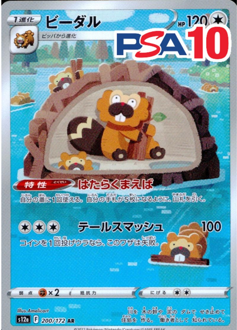ビーダル 200/172 AR PSA10
