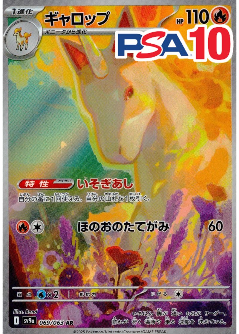 ギャロップ PSA10
