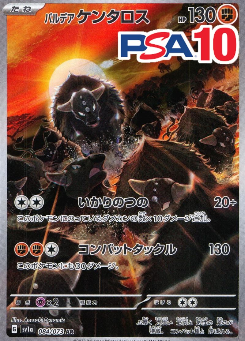 パルデアケンタロス PSA10