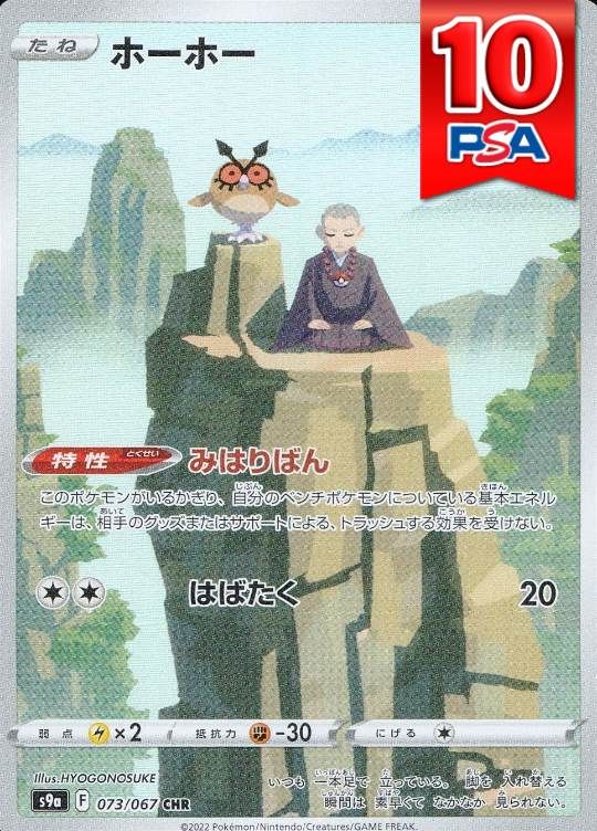 073/067/S9A/CHR ホーホー PSA10