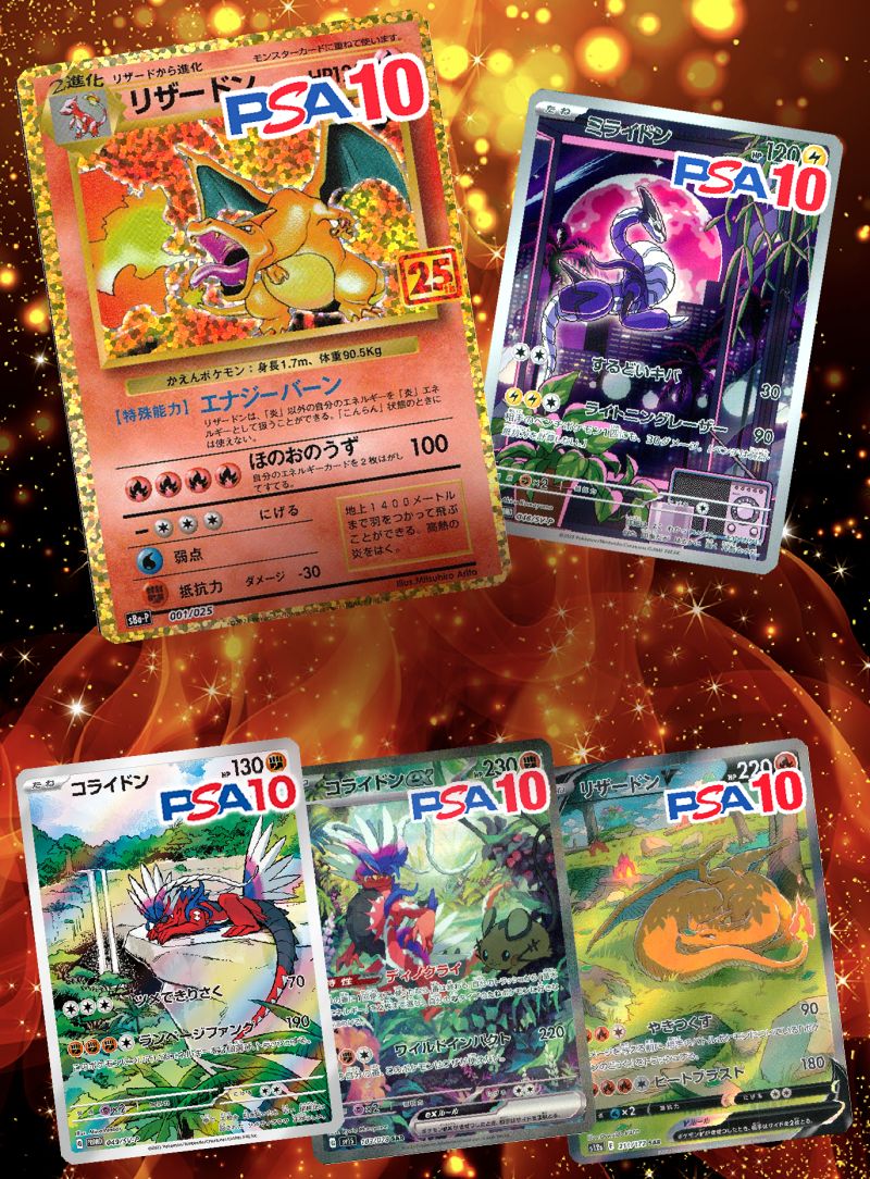 人気ドラゴンを手に入れろ