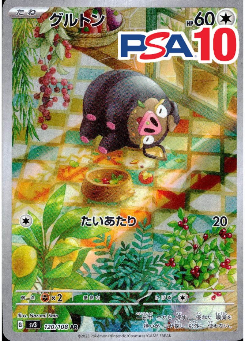 グルトン 120/108 AR PSA10