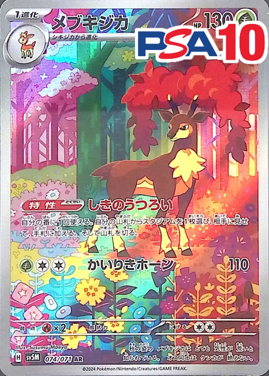 メブキジカ PSA10
